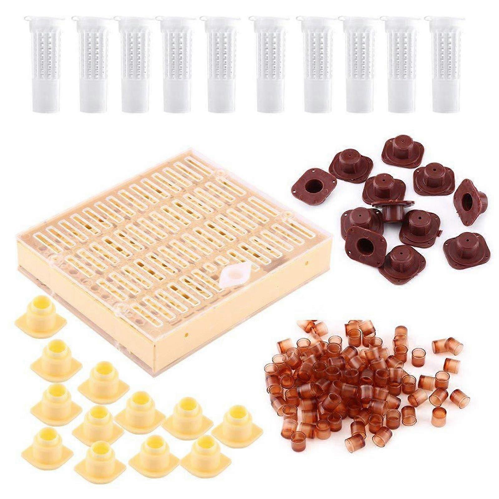 Professional Queen Bee Breeding Box For Beekeepers, Queen Rearing Box, Propagation System, Honey Bee Production