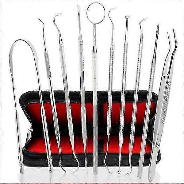 10-Pack Professional Dental Plaque Remover Teeth Cleaning Tools Set