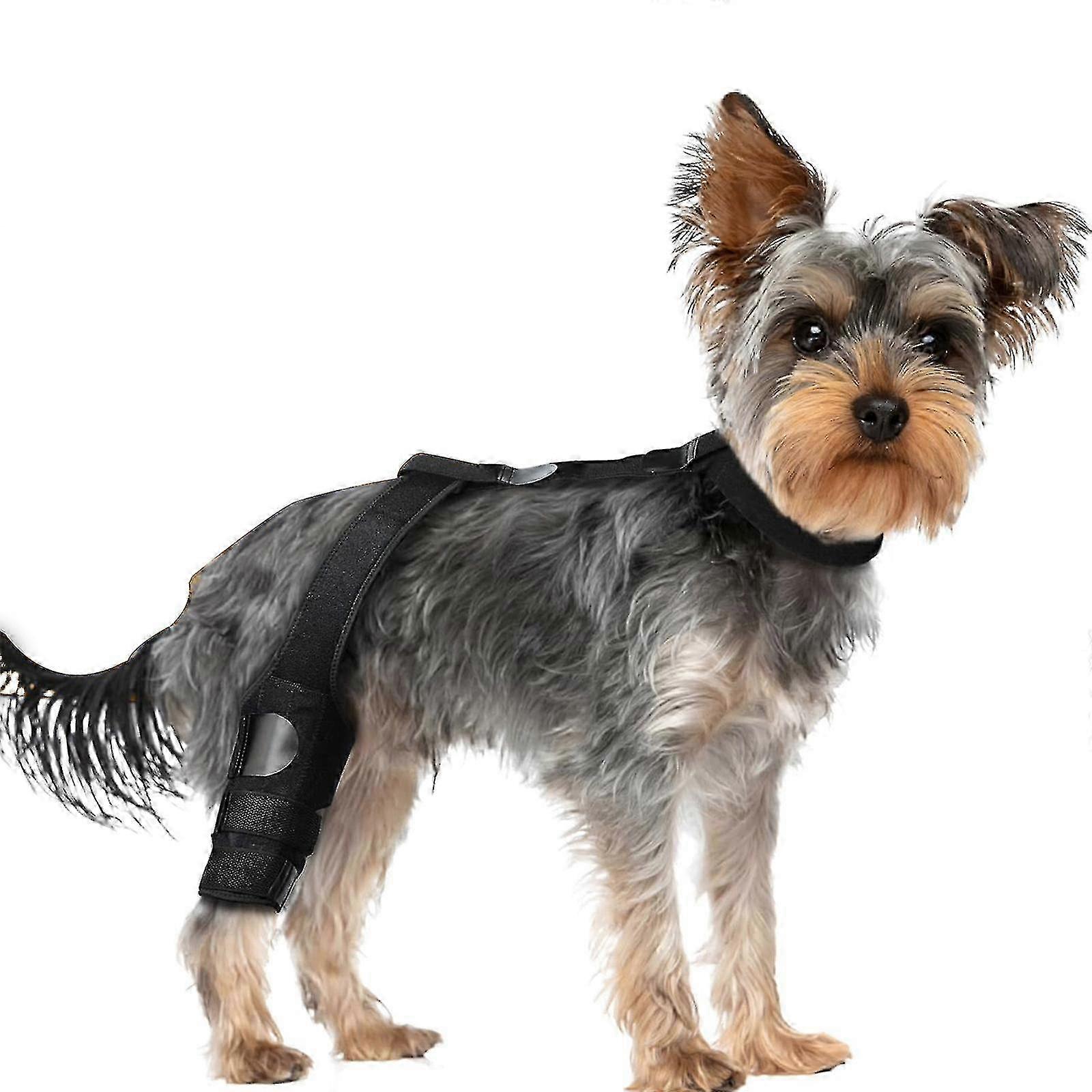 Supportive Knee Brace for Dogs with Hind Leg Injuries or Torn ACL Recovery Solution