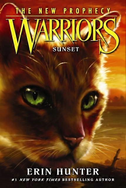 Sunset von Erin Hunter Taschenbuch