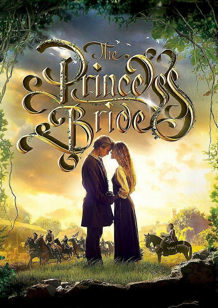 The Princess BrideJigsaw Puzzle Brain Teaser EB 4595