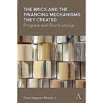 Die BRICS-Staaten und die von ihnen geschaffenen Finanzierungsmechanismen: Fortschritte und Defizite (Anthem – Frontiers of Global Political Economy and Development)
