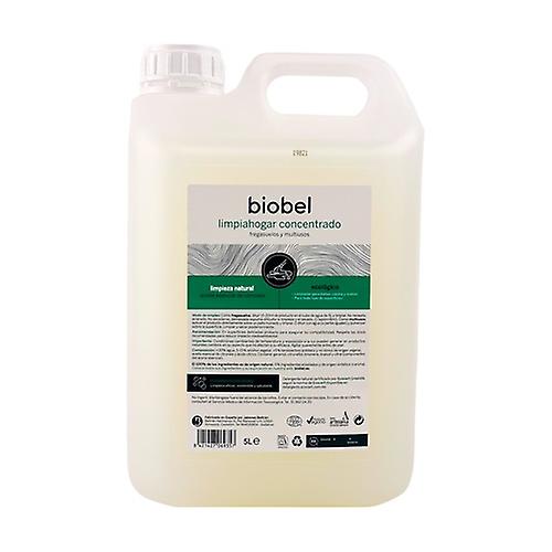 Eco concentrated household cleaner 5 L