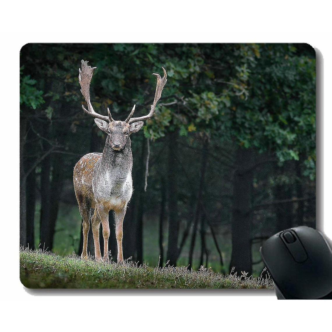 (260x210x3) Gaming Mouse Pad Design, Deer, Wild Animal Range Edges