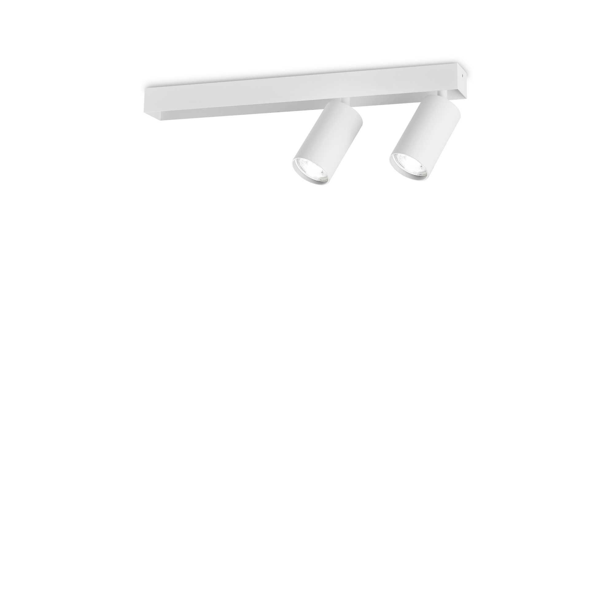 Profilo 2 Light Twin Ceiling Spotlight White