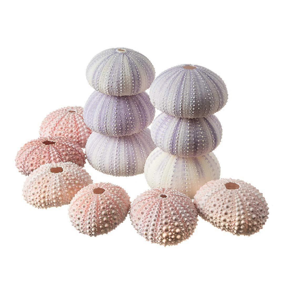 Coquille D'oursin Véritable Naturelle, Provenance Mer Du Japon, Occasion, Décoration Marine