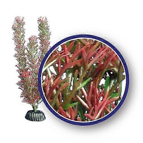 Weco Products 淡水系列狐尾水族馆植物,红色,1 个/6 英寸