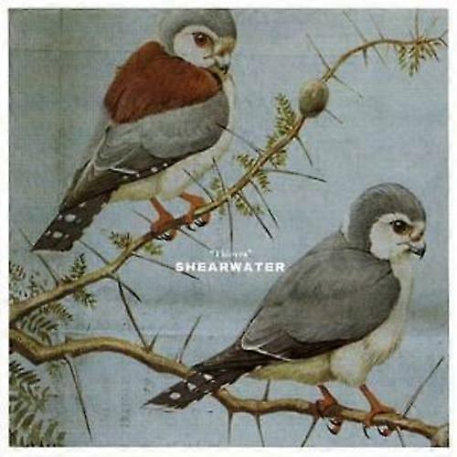 Shearwater Thieves CD (2005)
