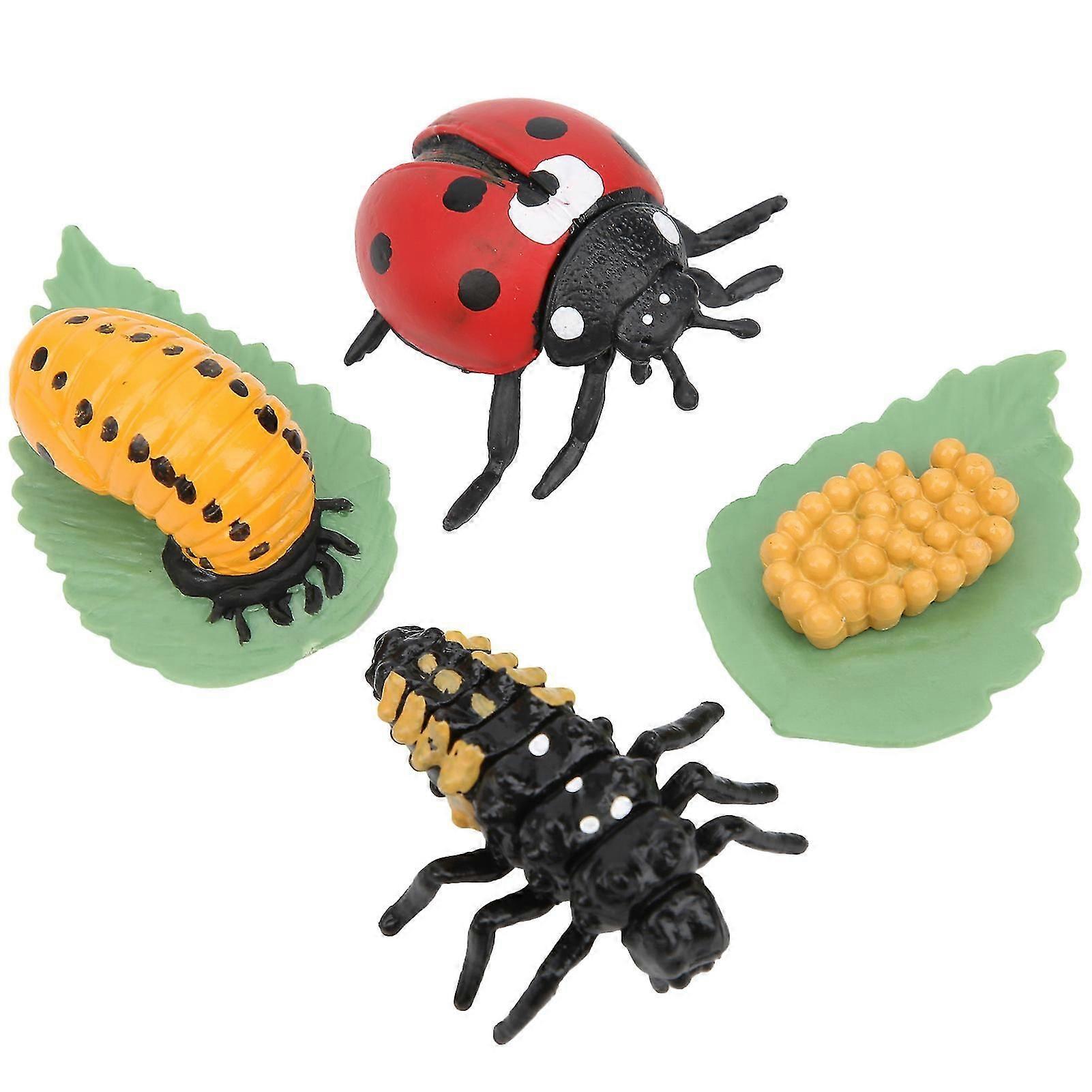 Highly Realistic Educational Ladybug Model Toy for Children