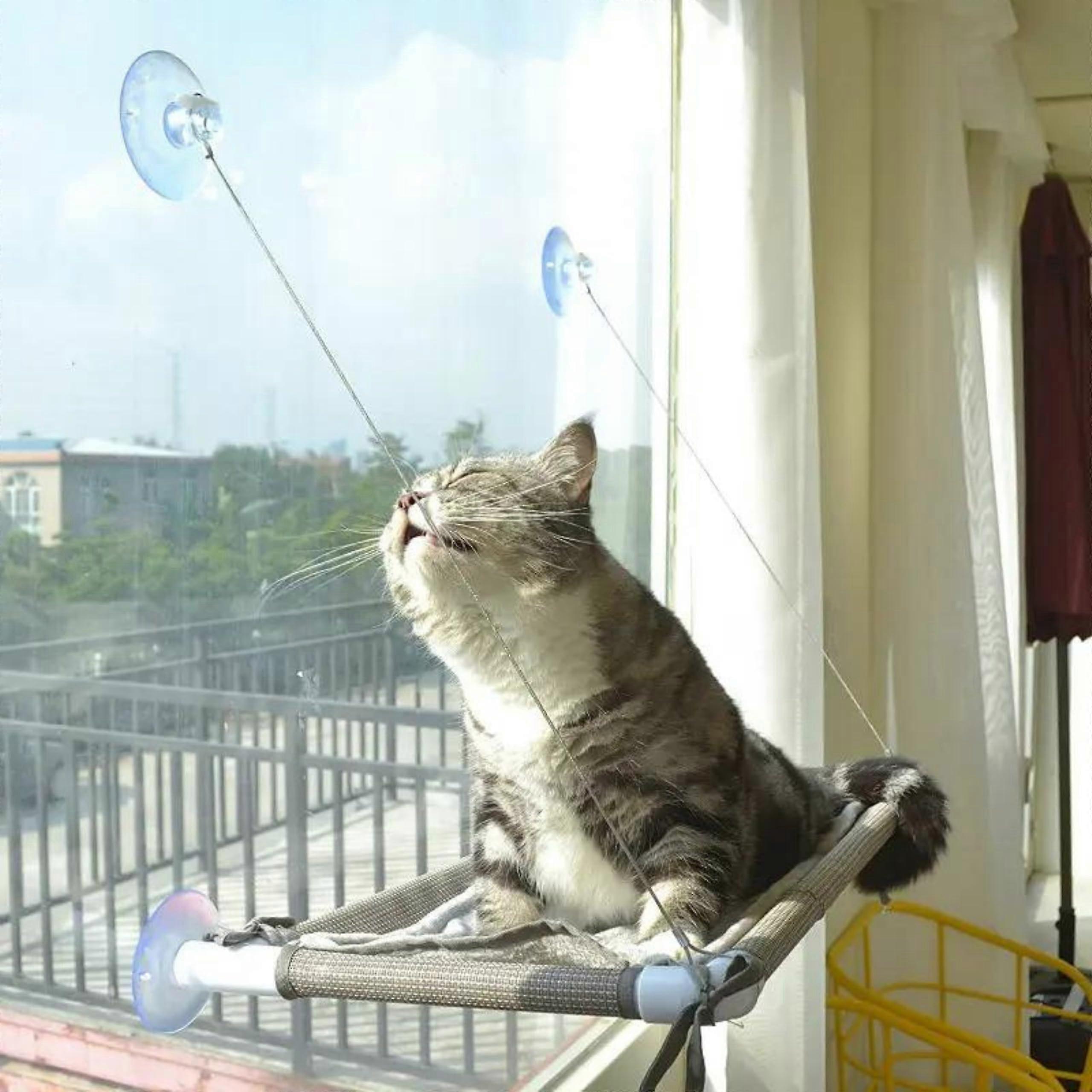 Cat Window Perch Hammock Foldable, Steel Frame Window Bed for Indoor Cats, Large Indoor Cat Window Seat
