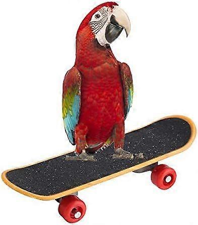Bird Parrot Intelligence Toys Mini Training Skateboard for Budgies, Parakeet Cockatiel Lovebird Conure Small and Medium Bird Funny Perch Toy