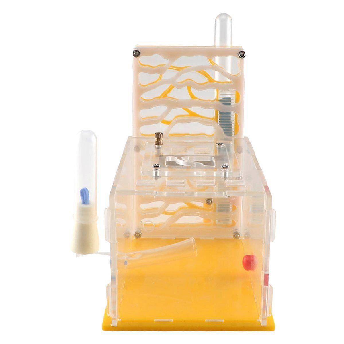 Insect Ant Nest T-Design Ant Nest T-Design Feeding Area Acrylic Farm Insect Villa House Ant Nest Bir