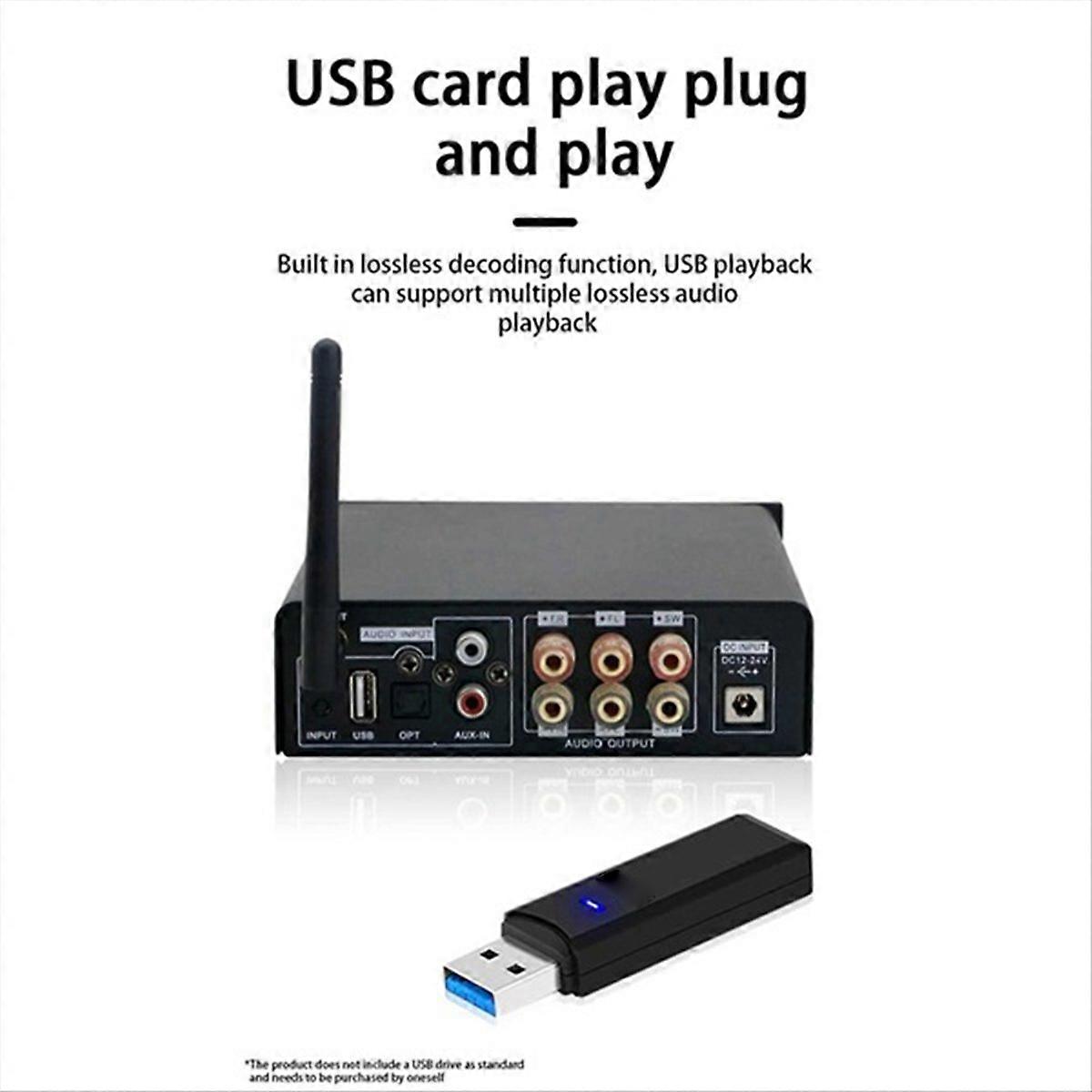  2.1 Channel Power Amplifier for Home EU Plug