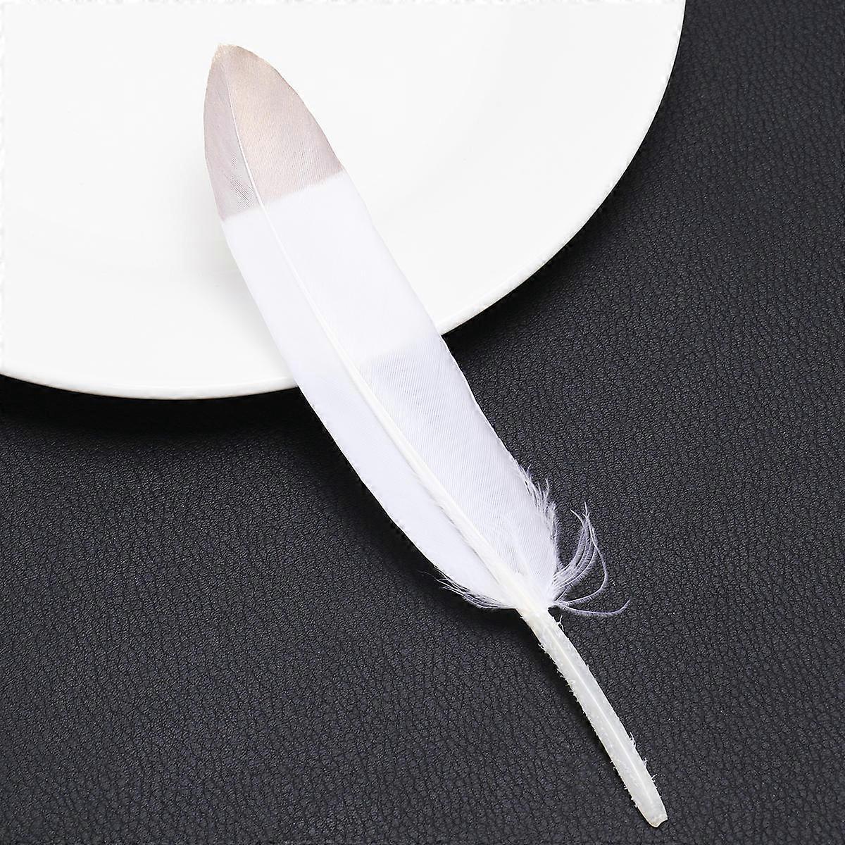 Golden Dipped Goose Set for Decor Use 30Pcs Multi Color