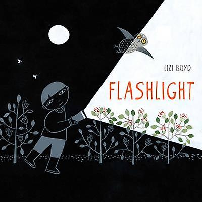 Flashlight by Lizi Boyd Hardback Book