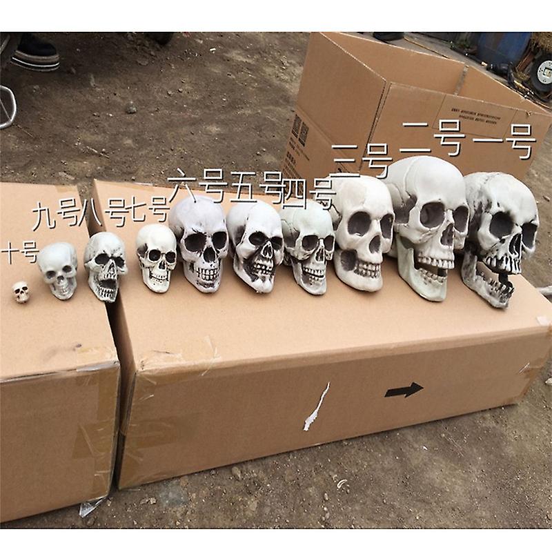 Halloween  Artificial Skull Head Model Skull Bone Scary Horror Skeleton Ornament