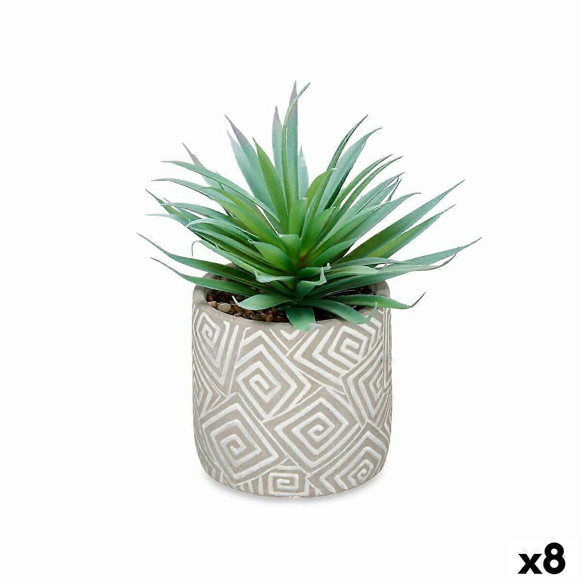Decorative Plant Ibergarden Wood Polyethylene Plastic Cement Succulent 17 x 21 x 17 cm (8 Units)
