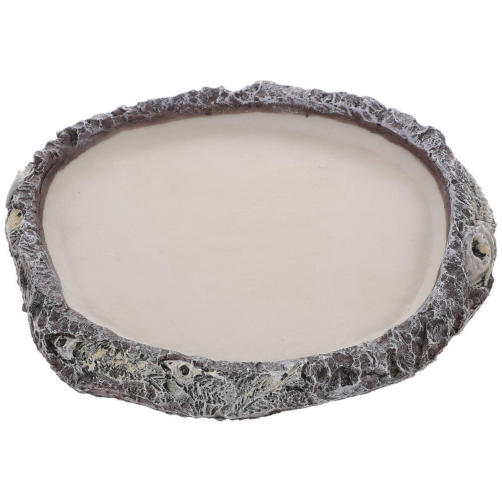 Terrarium Bowl Reptile Tank Accessories Gecko Bright Color 19x17Cm Feeding 1Pack