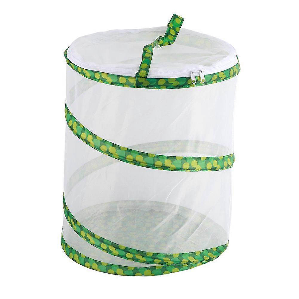 Net Insect Butterfly Habitat Cage Collapsible Insect Housing Enclosure Breeding CagesYMJJ