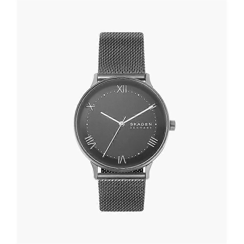 Watches Skagen skw6624