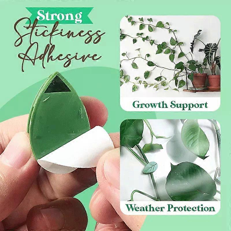 10Pcs Plants Climbing Artifacts Leaf Shape Fixing Clamp Self Adhesive Invisible Garden Hook Support for Climbing Plants Traceless