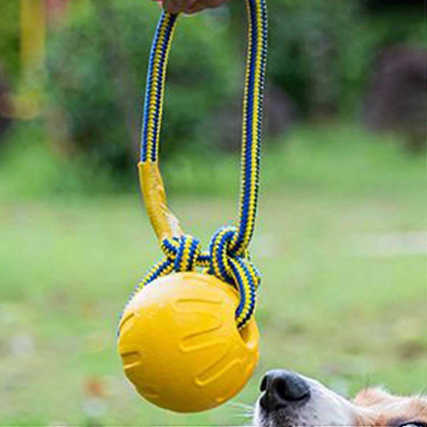 Dog Chew Ball With Handle - Indestructible Chew Ball For Training,  Interactive Teething Knot Puppy Toy, Indoor Outdoor | Fruugo US