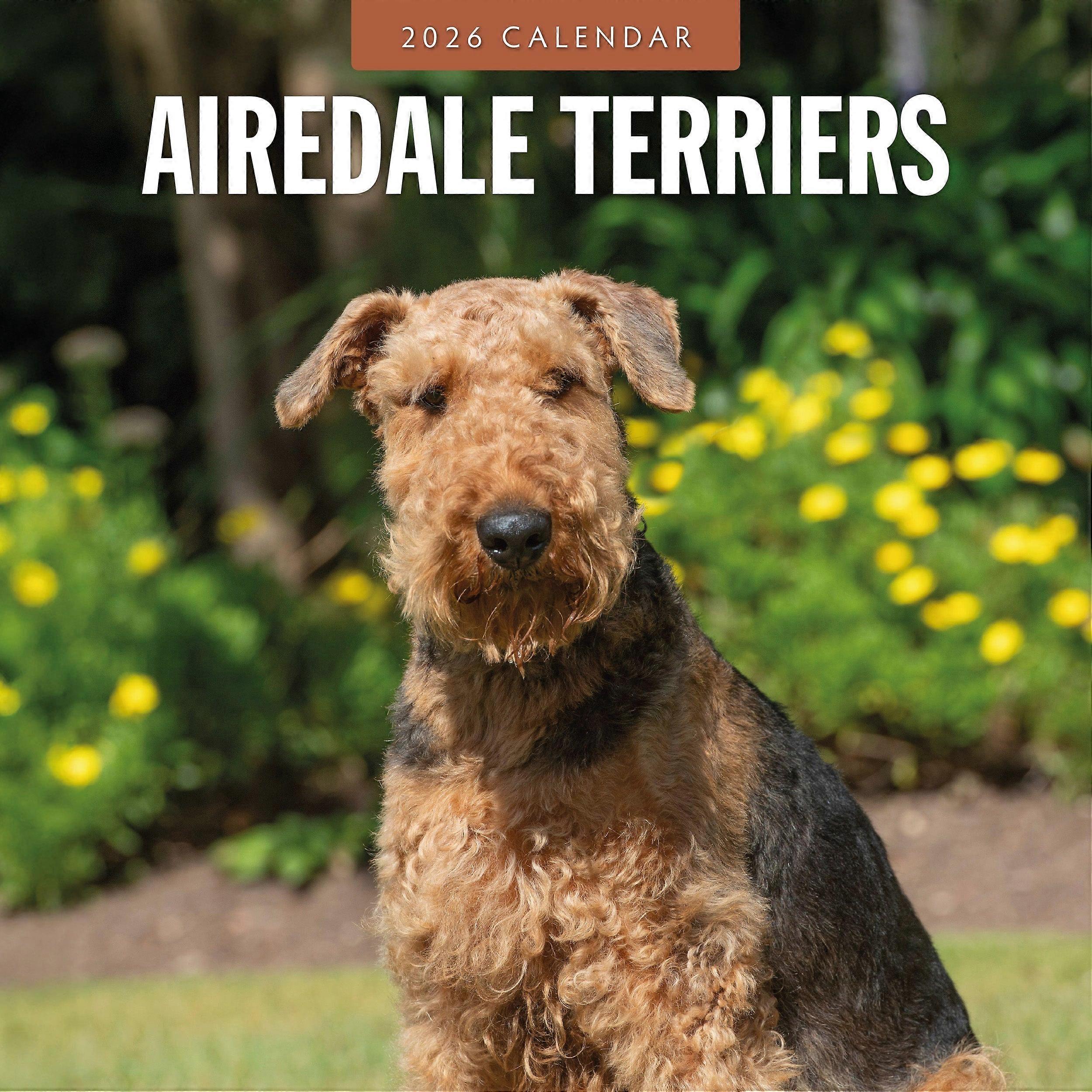 Red Robin Airedale Terrier Calendar 2026
