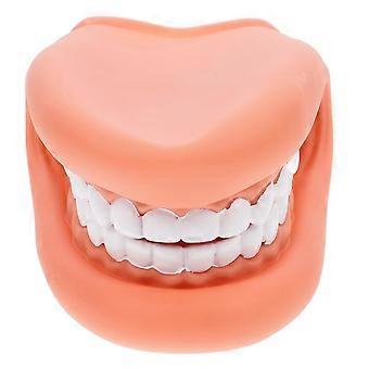Modelo de dente odontológico para ensino e aprendizagem interativa, material em PVC, adequado para clínicas e instituições de ensino, para crianças e estudantes.