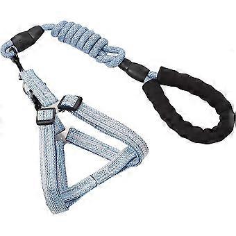 Dog Lead,Dog Leash Slip Belt Leash Harnesses Rope Long Pet Strong Training Walking Swimming Belt Soft Handle(Blue,1.5*120cm)
