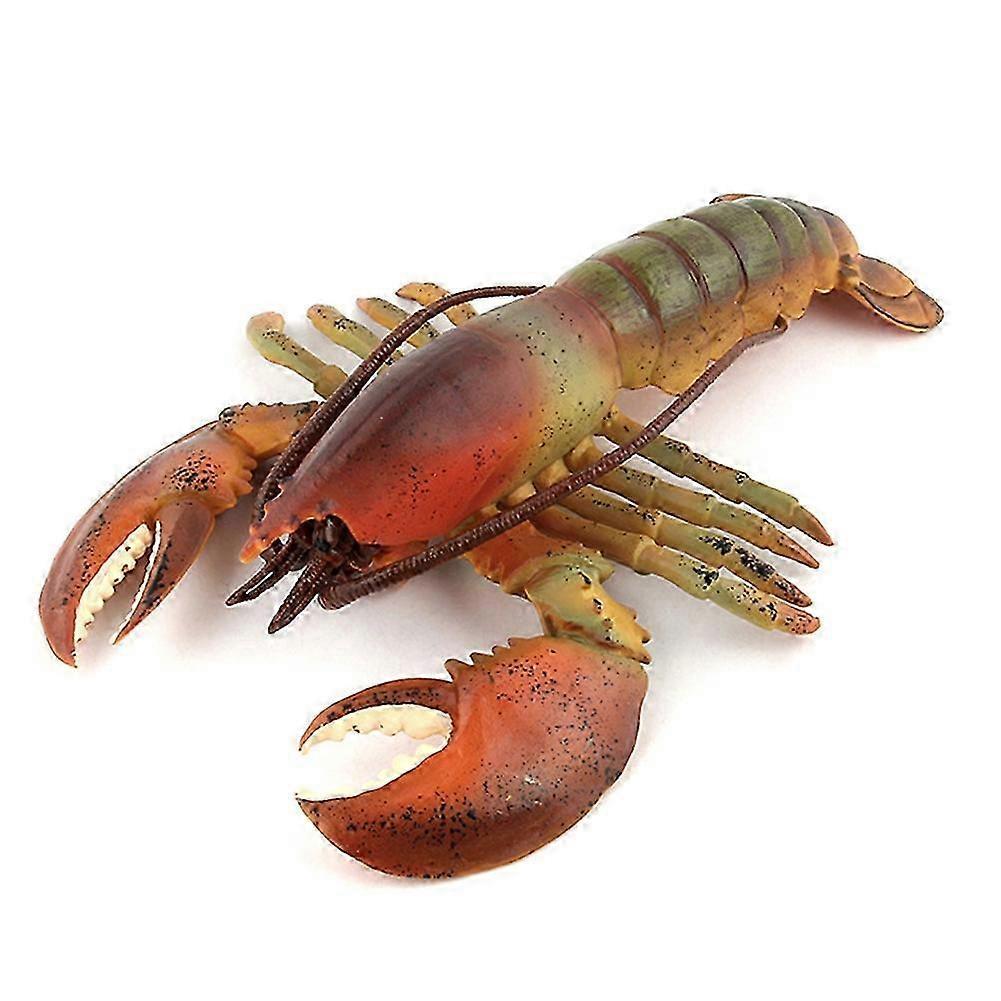 Realistic Lobster Marine Model