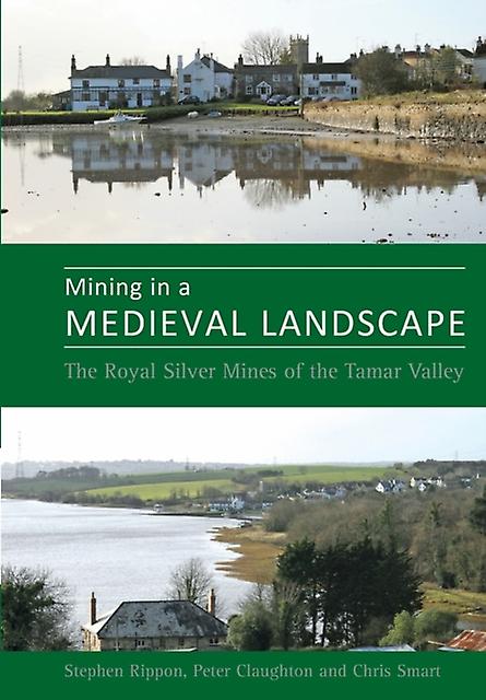 Mining In A Medieval Landscape by Rippon, Steve, Prof Paperback