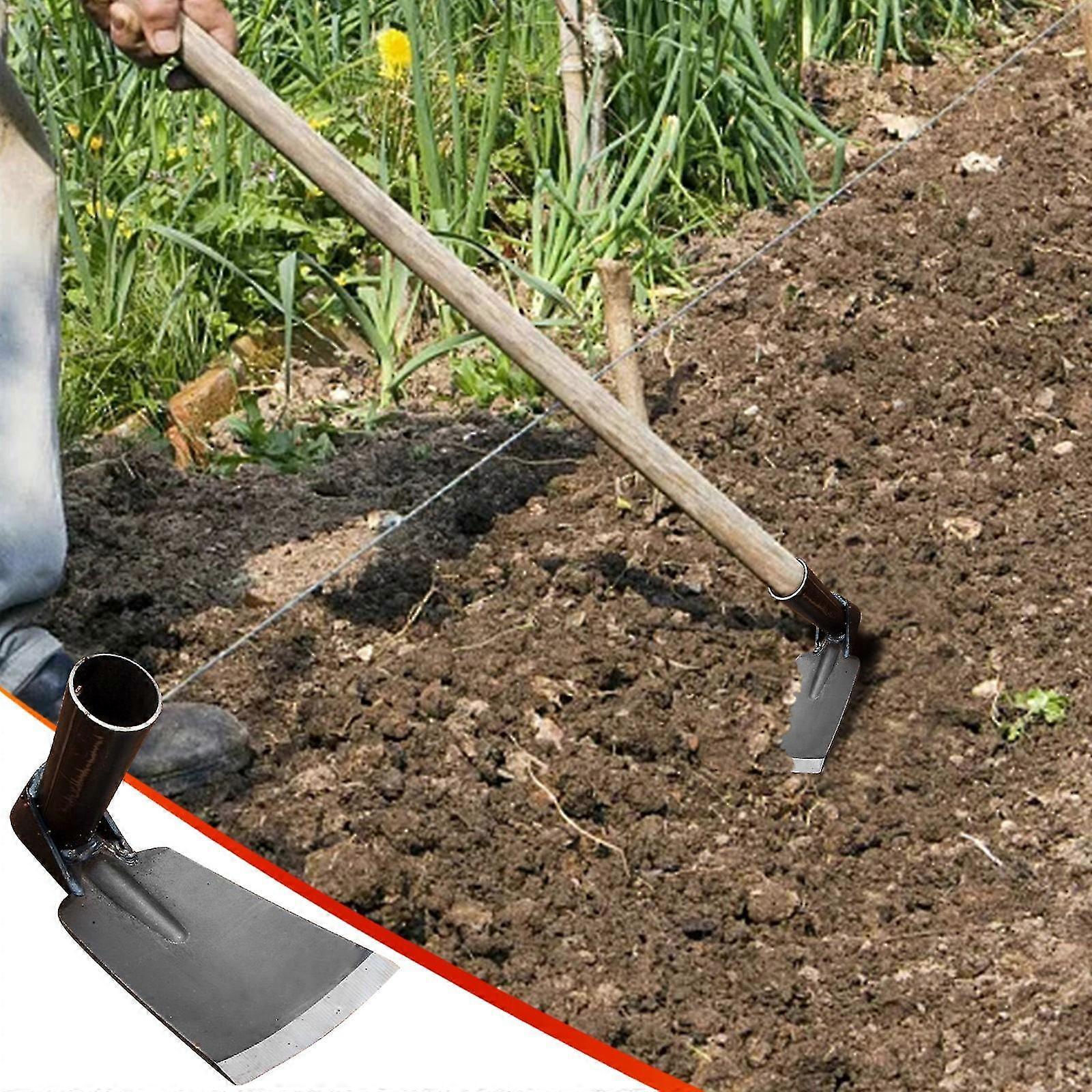 Outils agricoles extérieurs forgeant la houe de désherbage pour la plantation de houes de fleurs de légumes