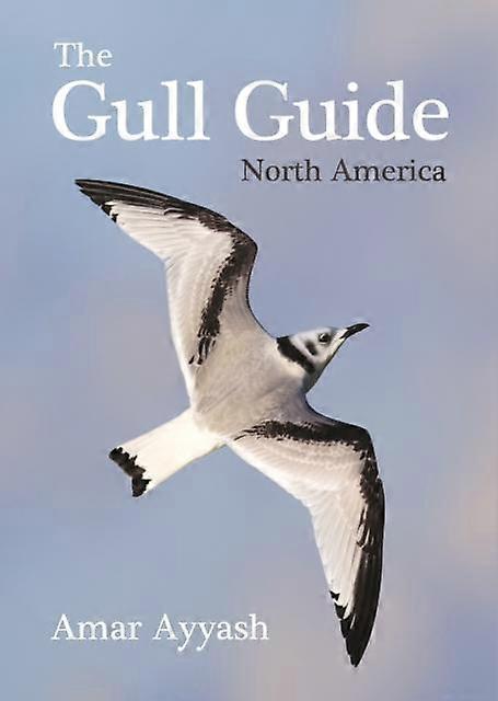 The Gull Guide by Amar Ayyash Paperback Book