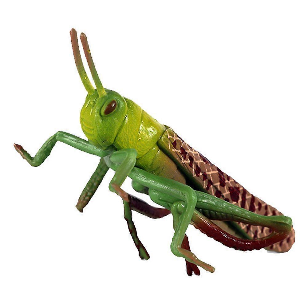 1pc Simulation Locust Model Plastic Grasshopper Decor Insect Plastic Toy
