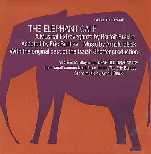 Isaiah Sheffer - Elephant Calf Small Comments on Large Themes  [COMPACT DISCS] USA import