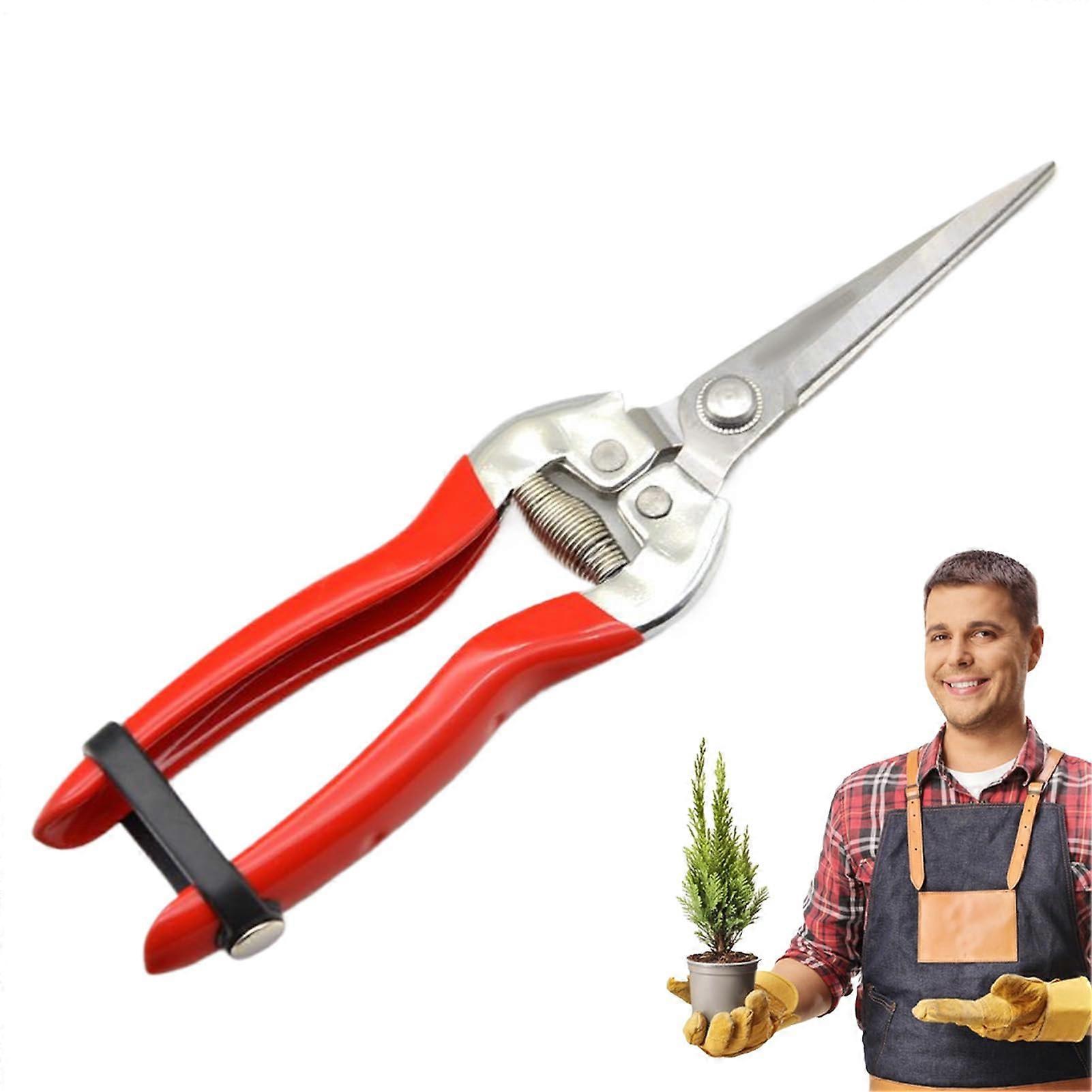 Garden Shears for Pruning - Stainless Steel Garden Scissors with Non-Stick Coating for Fruit Trees, Vines, and Citrus Plants