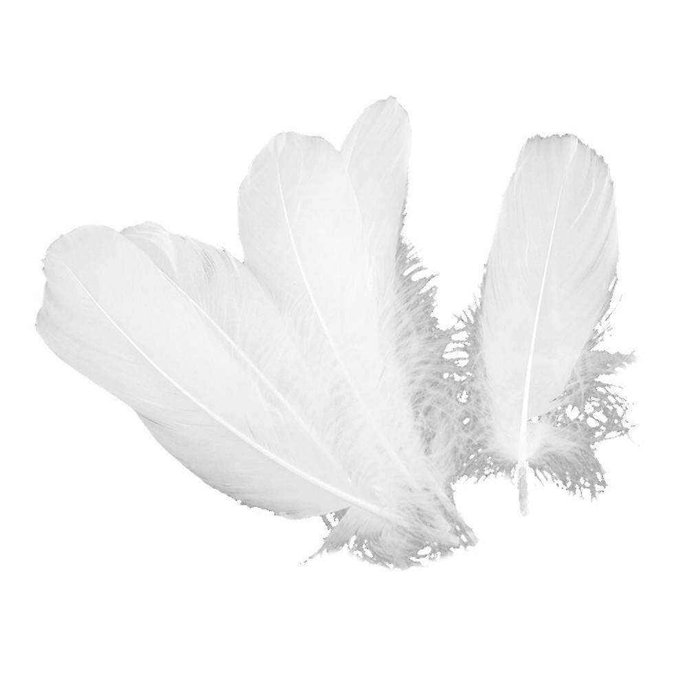 Wedding White Tips Dipped for Craft Decor 300Pcs