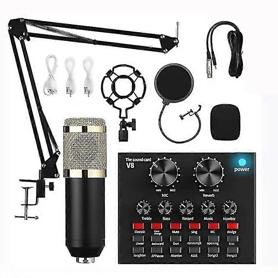 For Audio Condenser Mic Studio Singing Microphone