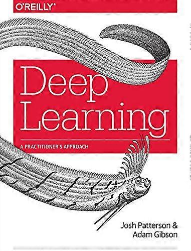 Diep leren: A Practitioner's aanpak