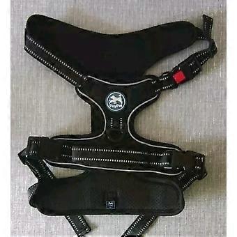 Dog Harness - XL