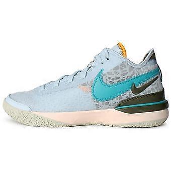 Nike Zoom LeBron NXXT Gen 'Blue Tint' DR8784-400