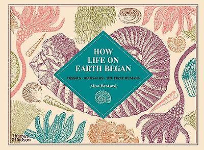 How Life on Earth Began