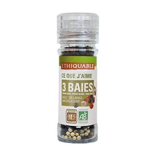 Organic three-color grain peppers 45 g