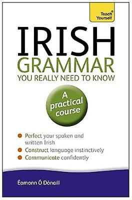 Irish Grammar You Really Need To Know Teach Yourself by Eamonn ODonaill Paperback Book