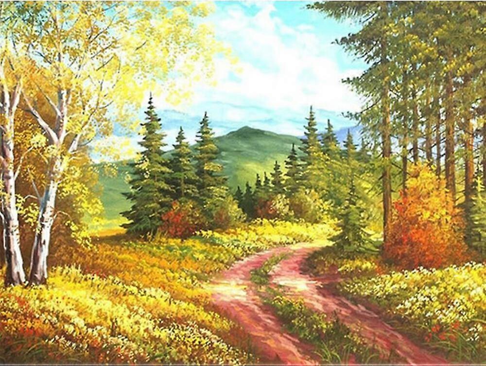 Dww-30 x 40 cm, Country Road Diamond Painting Diamond Embroidery Painting5D Canvas Painting for Children and Adults, Rhinestone Puzzle Set, Drawing Wa