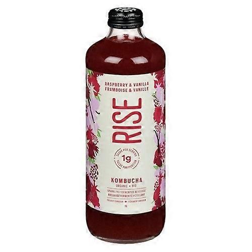 Rise Organic Raspberry And Vanilla Kombucha, 1 Liter (Case Of 6)