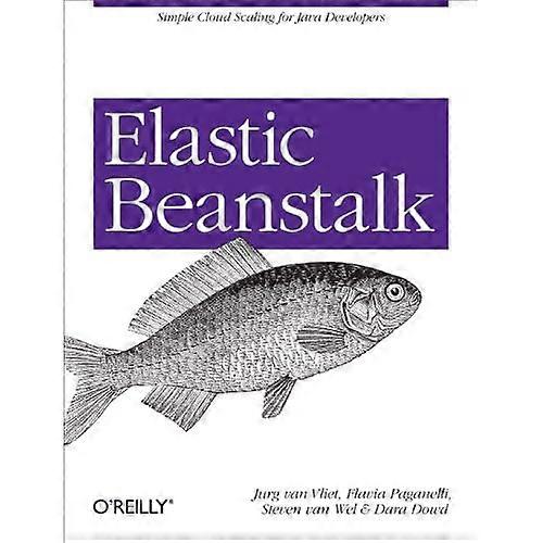 Elastisk Beanstalk