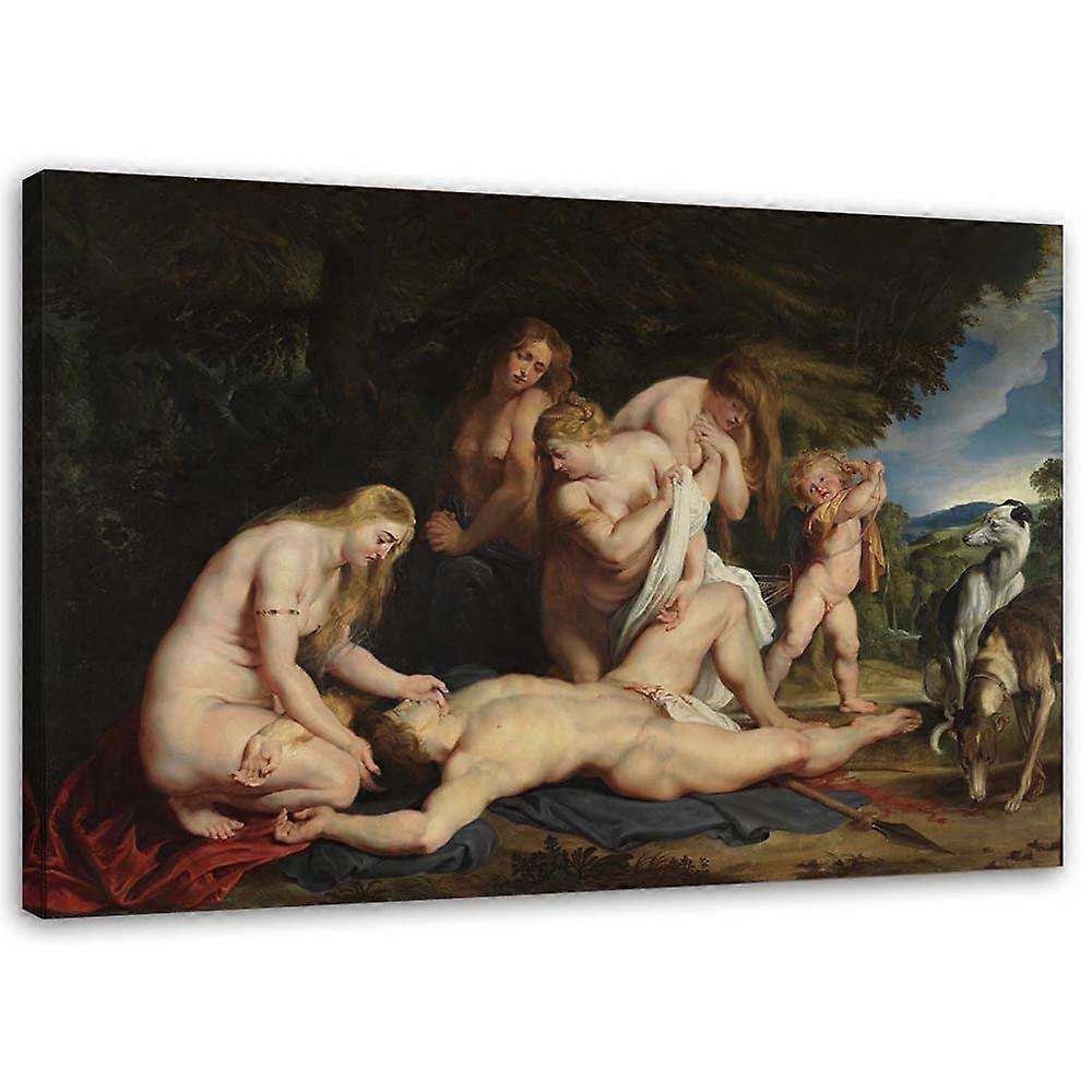 Quadro su tela, Morte di Adone - Riproduzione P. P. Rubens - 100x70