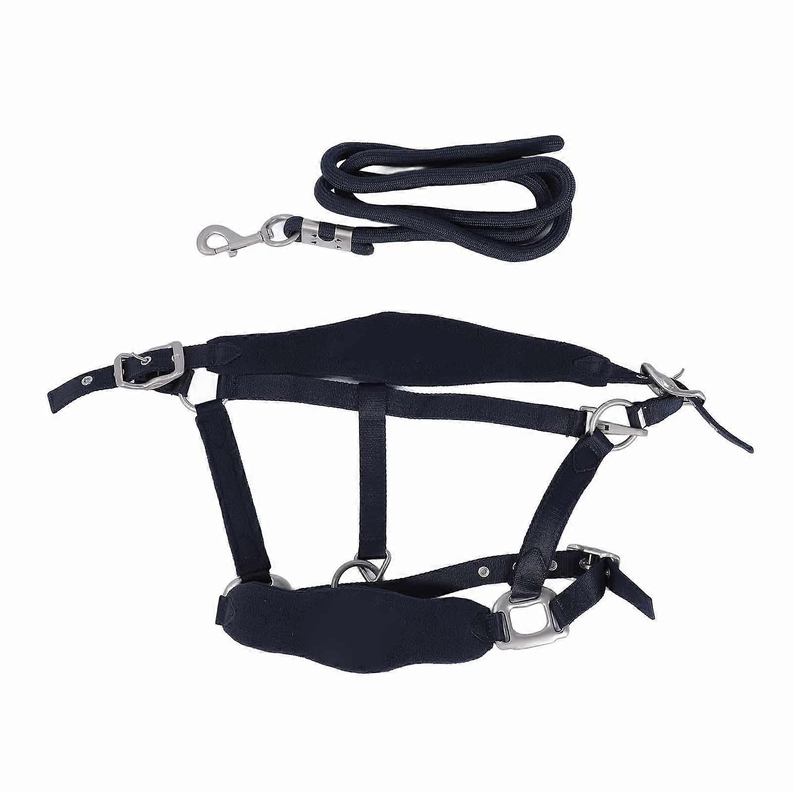 Horse Halter Set Prevent Rubbing Adjustable Horse Training Halter with 2m Horse Leash for Training Daily Navy Blue S