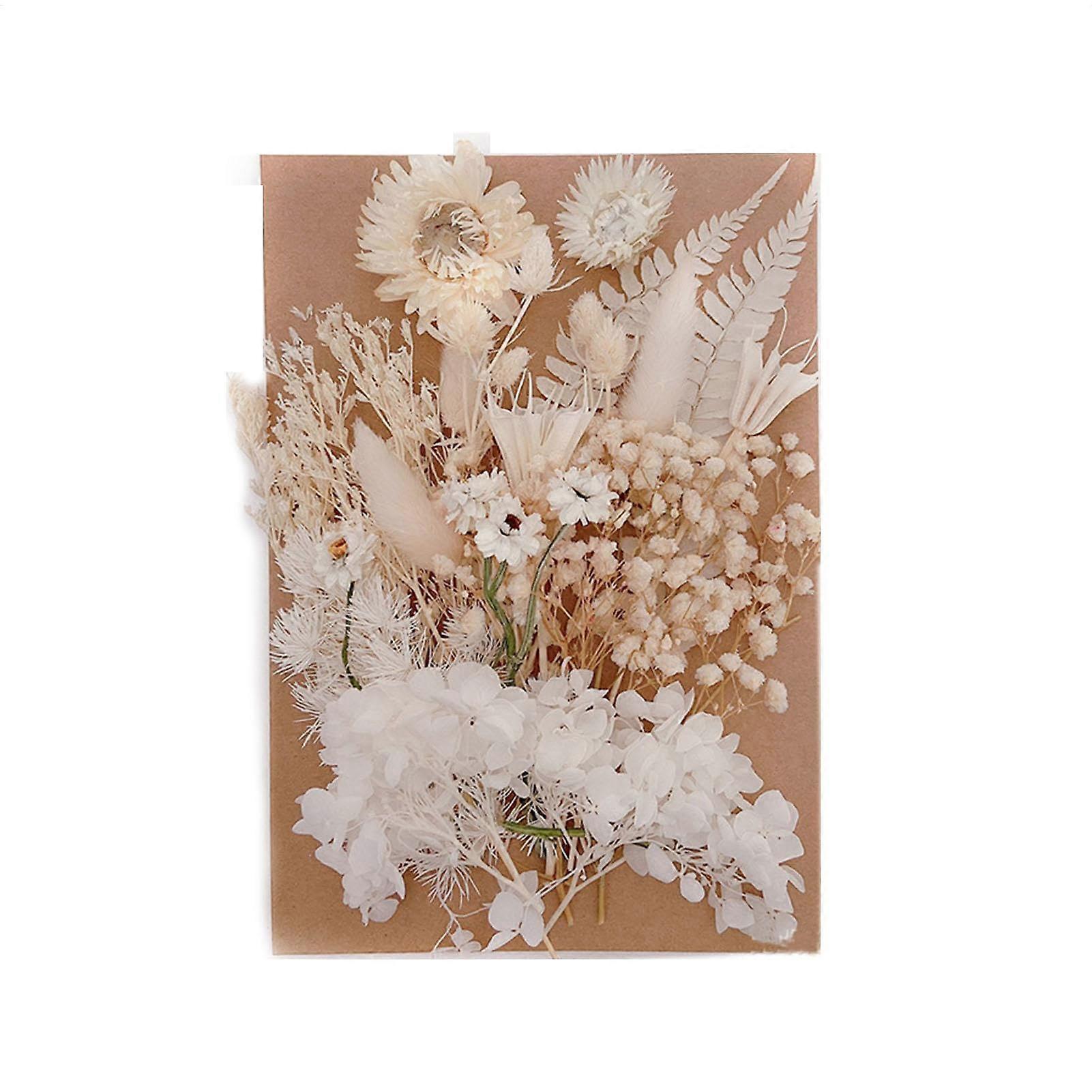 Dried flowers made of epoxy resin – Colorful dried flowers for epoxy resin molds